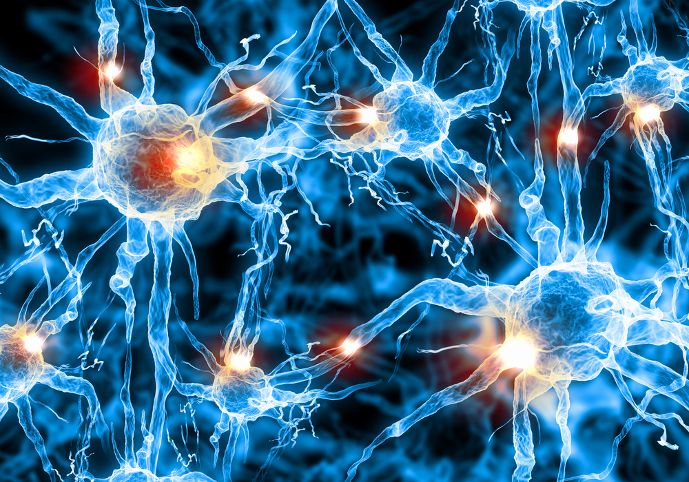 en bild på neuron och nervtrådar i hjärnan när man äter socker