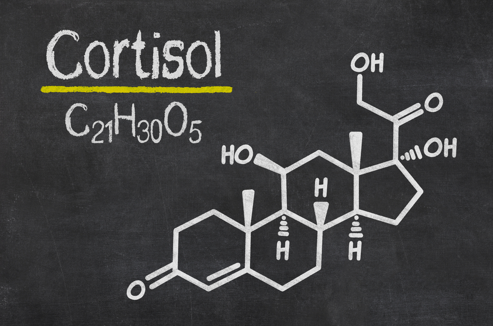 en kemisk bild på kortisol för fettförbränning